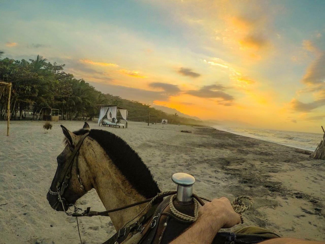 Hotel Tay Beach Buritaca Exterior foto
